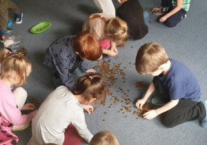 Dzieci segregują monety.