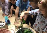 Dzieci przygotowują kiszonkę