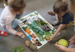 Dzieci przyporządkowują dary jesieni : z ogrodu, z lasu.