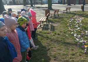 Dzieci oglądają kwiaty