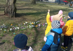 Dzieci oglądają kwiaty