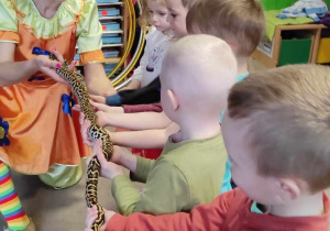 Wąż -cyrkowe sztuczki z udziałem dzieci.