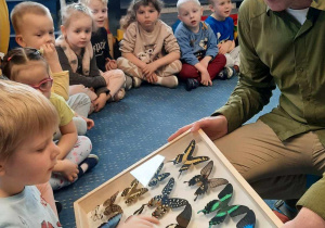 Dzieci oglądają motyle