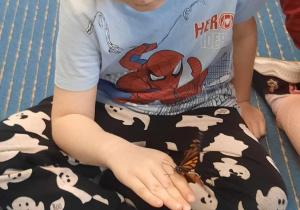 Chłopiec trzyma motyla