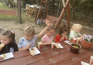 Wspólny poczęstunek na świeżym powietrzu