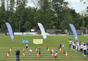 Zdjęcie 16 na 29