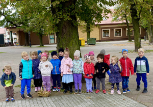 W poszukiwaniu jesieni