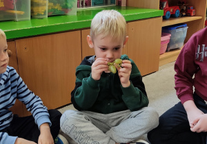 owoce z jesiennego sadu