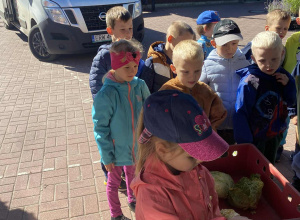 W zdrowym ciele zdrowy duch