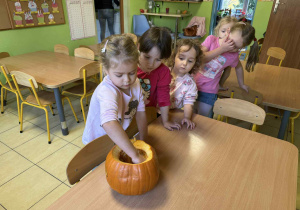 Dzieci badają zawartość dyni.
