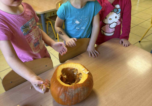 Dzieci badają zawartość dyni.