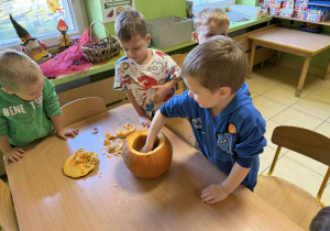 Dzieci badają zawartość dyni.