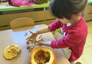 Dzieci badają zawartość dyni.