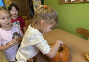 Dzieci badają zawartość dyni.