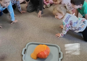 ekseryment wulkan z dyni