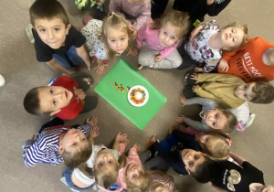 dzieci obserwuja proces przenikania barw