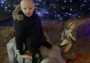 Chłopiec siedzi na słoniu