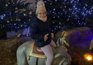 Dziewczynka siedzi na słoniu