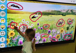 dziecko zaznacza na tablicy oznaki wiosny