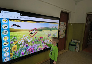 dziecko zaznacza na tablicy oznaki wiosny