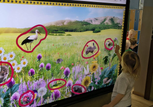 dziecko zaznacza na tablicy oznaki wiosny