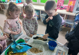 Dzieci zakładają zielony kącik przyrody