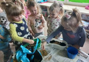 Dzieci zakładają zielony kącik przyrody