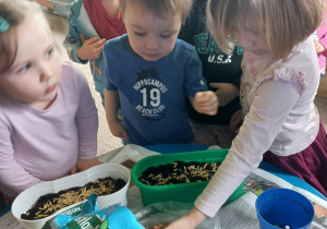 Dzieci zakładają zielony kącik