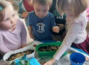 Zielony kącik przyrody