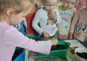 Dzieci zakładają zielony kącik