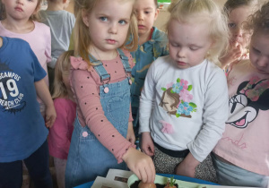 Dzieci zakładają zielony kącik