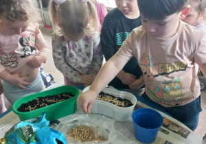 Dzieci zakładają zielony kącik przyrody