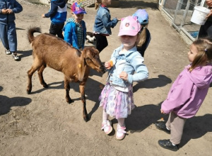 Wycieczka do minizoo