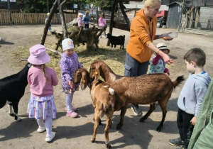 dzieci ze zwierzętami