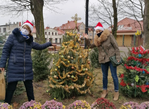 Aleja Bożonarodzeniowa