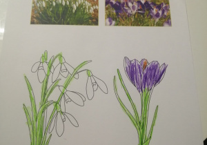 Wiosenne kwiaty - praca Antosia z grupy VII