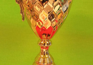Puchar za zajęcie II miejsca w rozgrywkach drużynowych.